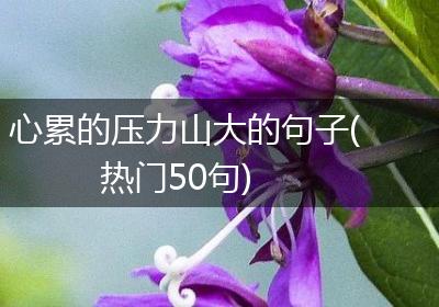 心累的压力山大的句子(热门50句)