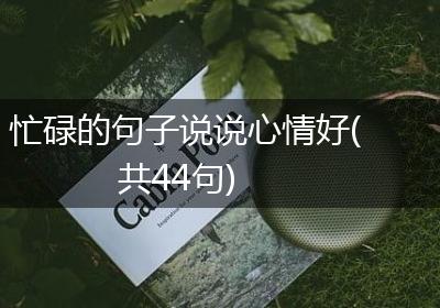 忙碌的句子说说心情好(共44句)