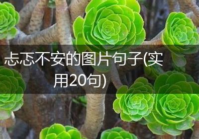 忐忑不安的图片句子(实用20句)