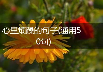 心里烦躁的句子(通用50句)