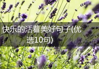 快乐的活着美好句子(优选10句)