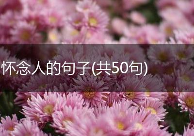 怀念人的句子(共50句)
