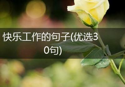 快乐工作的句子(优选30句)