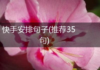 快手安排句子(推荐35句)