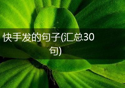 快手发的句子(汇总30句)