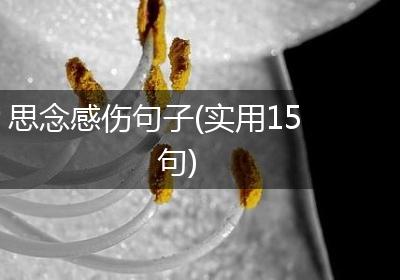思念感伤句子(实用15句)