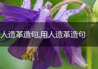 人造革造句,用人造革造句