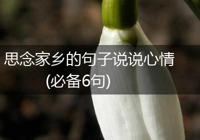 思念家乡的句子说说心情(必备6句)