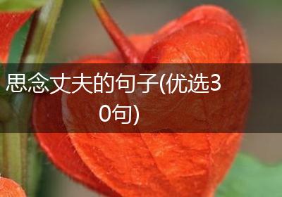 思念丈夫的句子(优选30句)