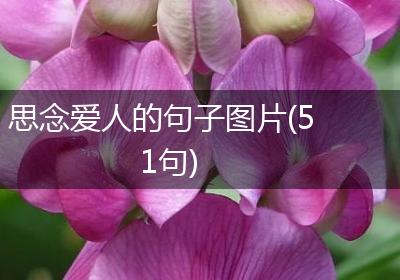 思念爱人的句子图片(51句)