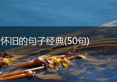 怀旧的句子经典(50句)