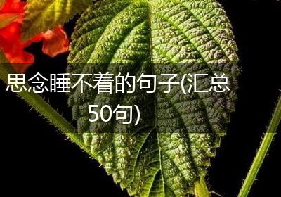 思念睡不着的句子(汇总50句)