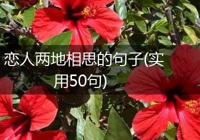 恋人两地相思的句子(实用50句)