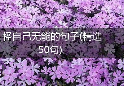 怪自己无能的句子(精选50句)