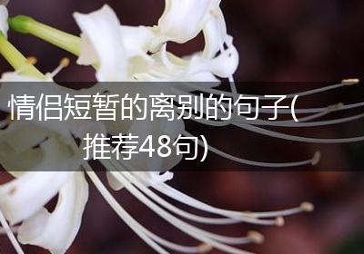 情侣短暂的离别的句子(推荐48句)