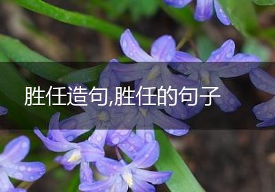 胜任造句,胜任的句子