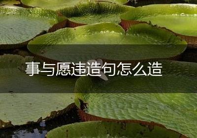 事与愿违造句怎么造