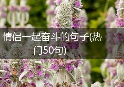 情侣一起奋斗的句子(热门50句)