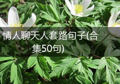 情人聊天人套路句子(合集50句)