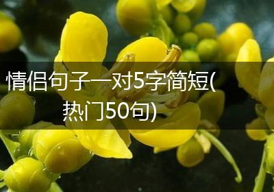 情侣句子一对5字简短(热门50句)