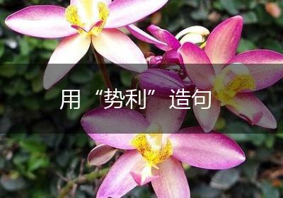 用“势利”造句