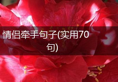 情侣牵手句子(实用70句)