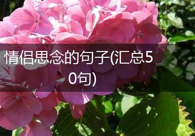 情侣思念的句子(汇总50句)