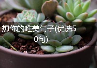 想你的唯美句子(优选50句)