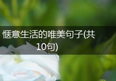 惬意生活的唯美句子(共10句)