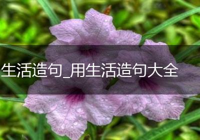 生活造句_用生活造句大全