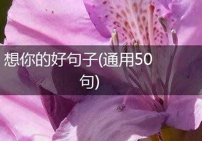 想你的好句子(通用50句)