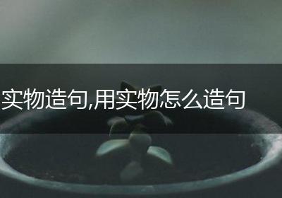 实物造句,用实物怎么造句