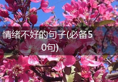 情绪不好的句子(必备50句)