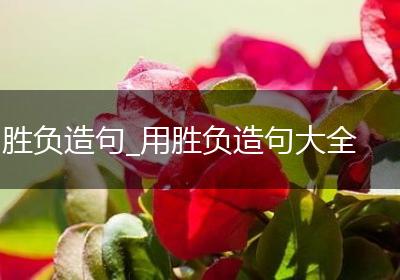 胜负造句_用胜负造句大全