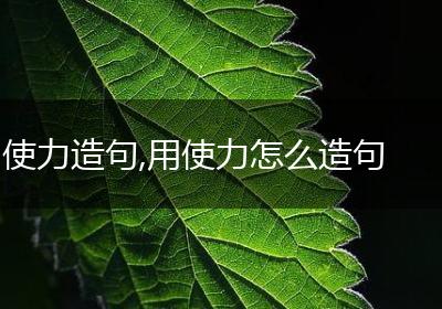 使力造句,用使力怎么造句