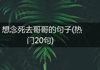 想念死去哥哥的句子(热门20句)