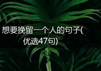 想要挽留一个人的句子(优选47句)