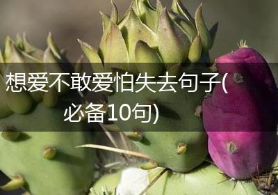 想爱不敢爱怕失去句子(必备10句)