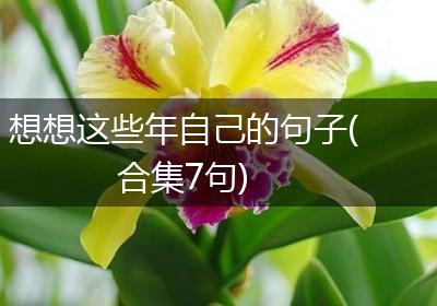 想想这些年自己的句子(合集7句)