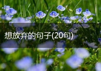 想放弃的句子(20句)