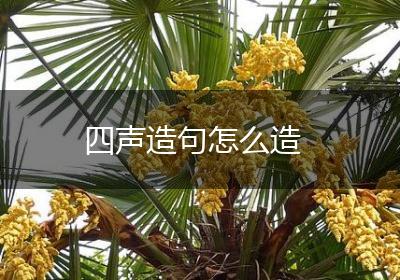 四声造句怎么造