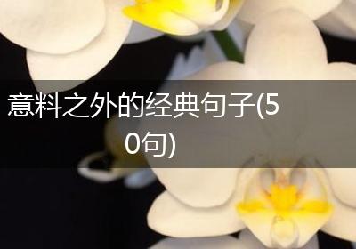 意料之外的经典句子(50句)