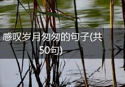 感叹岁月匆匆的句子(共50句)