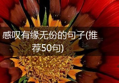 感叹有缘无份的句子(推荐50句)