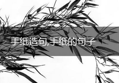 手纸造句,手纸的句子