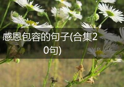 感恩包容的句子(合集20句)