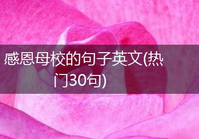 感恩母校的句子英文(热门30句)