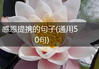 感恩提携的句子(通用50句)