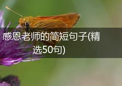 感恩老师的简短句子(精选50句)