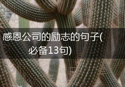 感恩公司的励志的句子(必备13句)